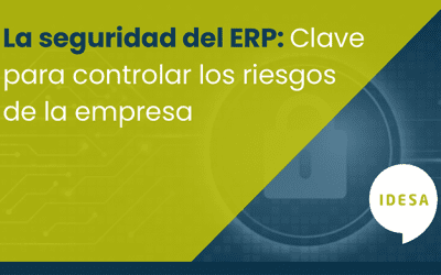 Seguridad del ERP: La clave para controlar los riesgos en la empresa
