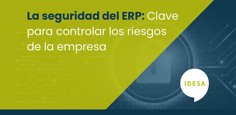 Seguridad del ERP