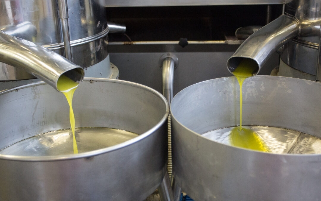 Los 5 desafíos clave de las almazaras y cómo resolverlos con Sage 200 Almazaras y Envasadoras